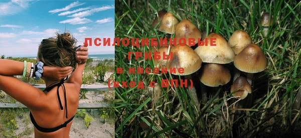 ПСИЛОЦИБИНОВЫЕ ГРИБЫ Елабуга