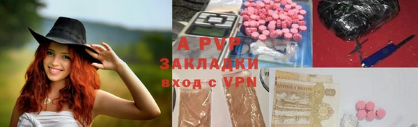 ПСИЛОЦИБИНОВЫЕ ГРИБЫ Елабуга