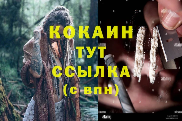 ПСИЛОЦИБИНОВЫЕ ГРИБЫ Елабуга