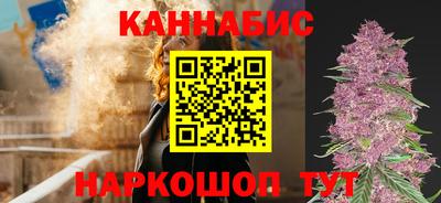 мдпв Камышлов