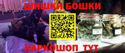 мдпв Камышлов