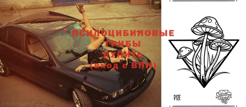 Галлюциногенные грибы Magic Shrooms  Реж 