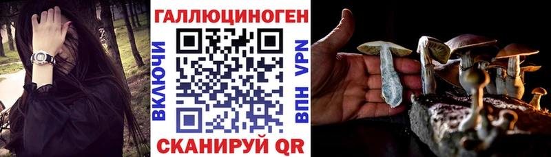 Псилоцибиновые грибы Psilocybine cubensis  Реж 