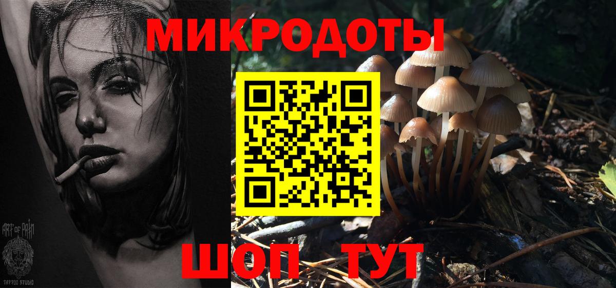 Псилоцибиновые грибы GOLDEN TEACHER Реж