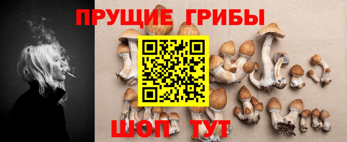 купить   Вход с VPN  Реж  Галлюциногенные грибы ЛСД  Галлюциногенные грибы ЛСД 
