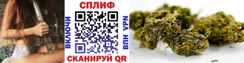 Бошки Шишки OG Kush  магазин  наркотиков  блэк спрут tor  Реж 